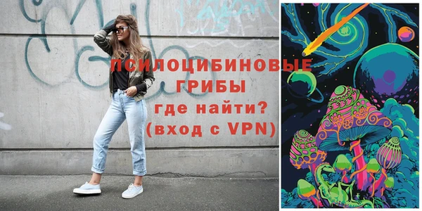 сатива Абинск