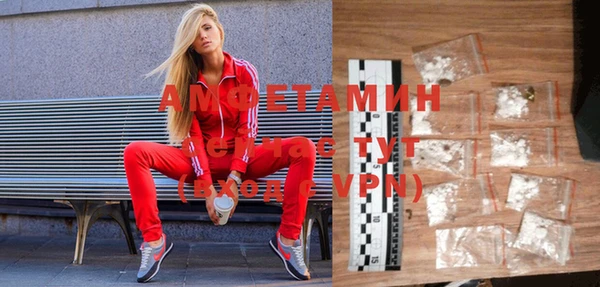 сатива Абинск