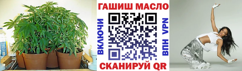 закладка  Зубцов  Дистиллят ТГК концентрат 