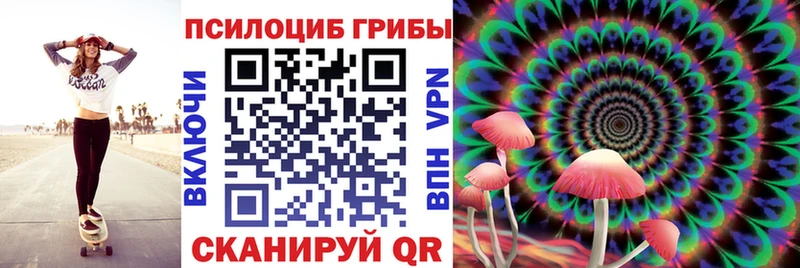 купить   MEGA ссылки  Псилоцибиновые грибы ЛСД  Зубцов 